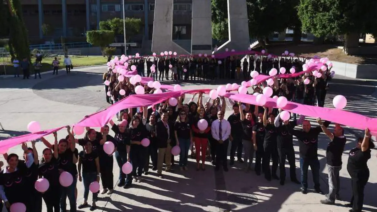 Mueren 284 por cáncer de mama