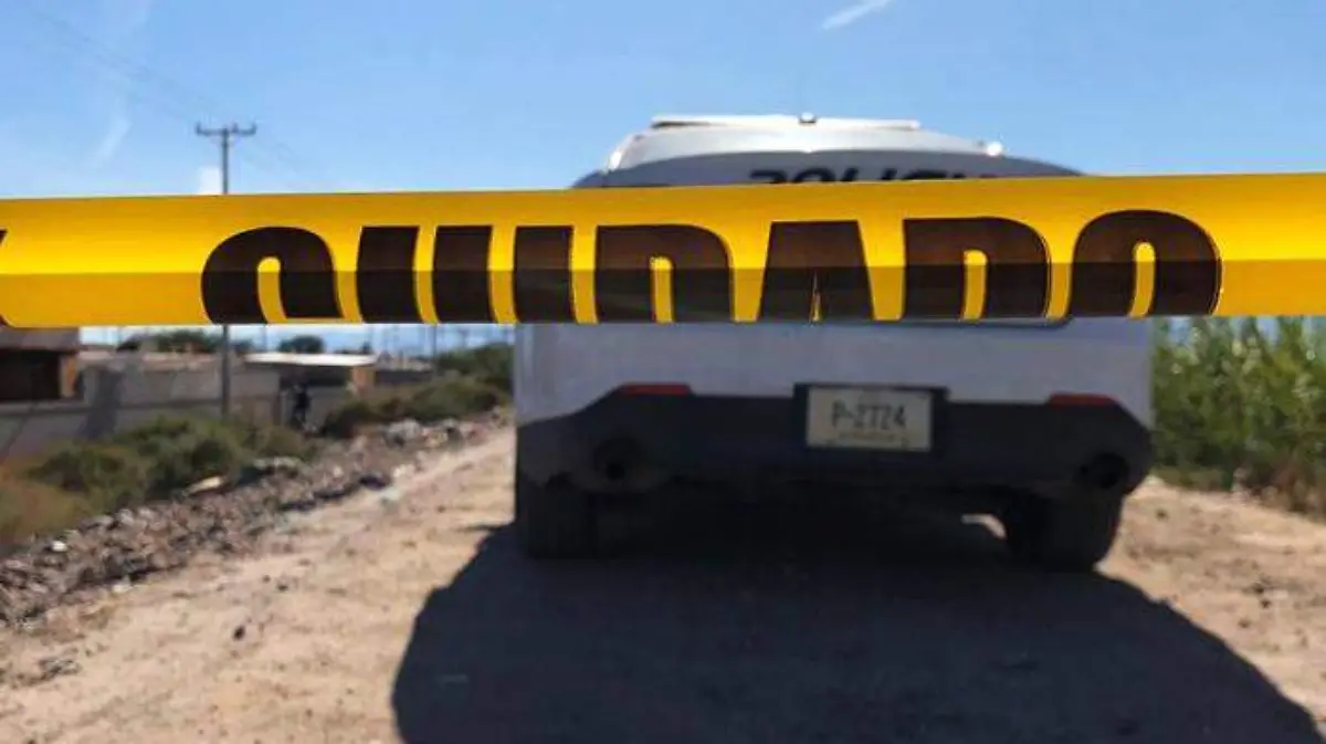 policiaca Tulichek