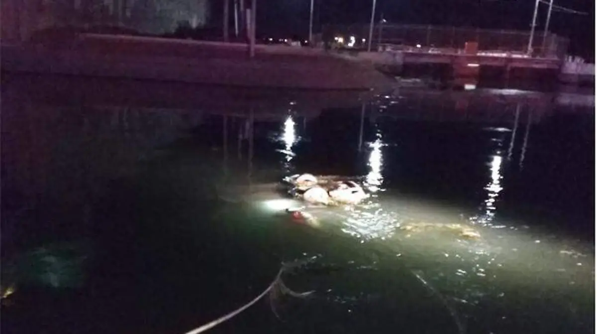 Muere hombre al caer a canal Reforma