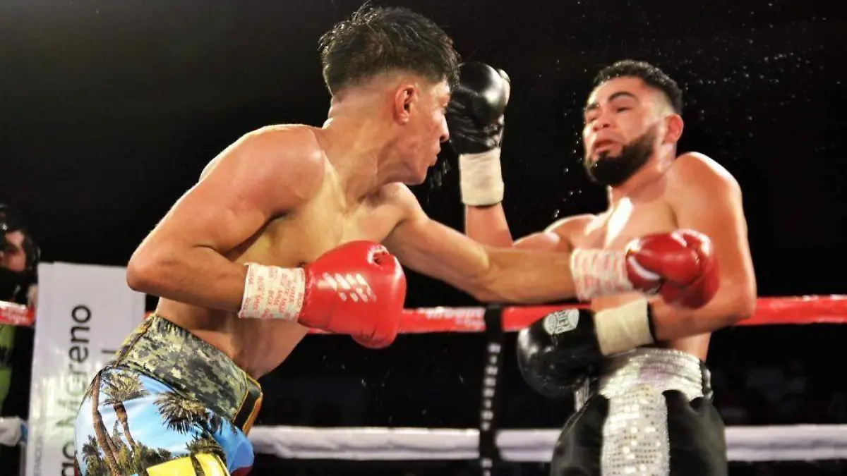 9b6a837a-bec1-4b66-9693-286ed891566c