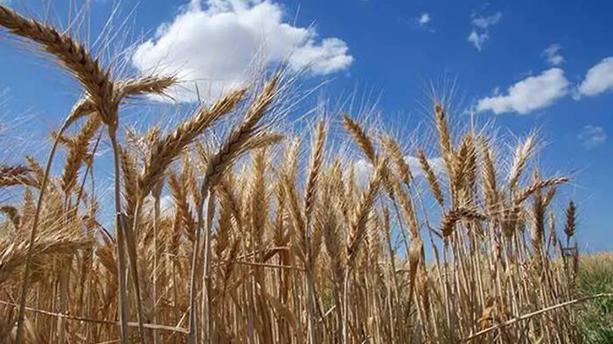 f7e7f4f0-7dc4-4fca-bf0b-ed4bebac7b73