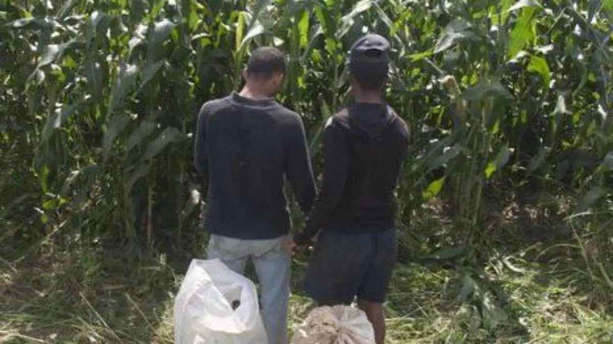 WhatsApp Image 2017-08-11 at 10.58