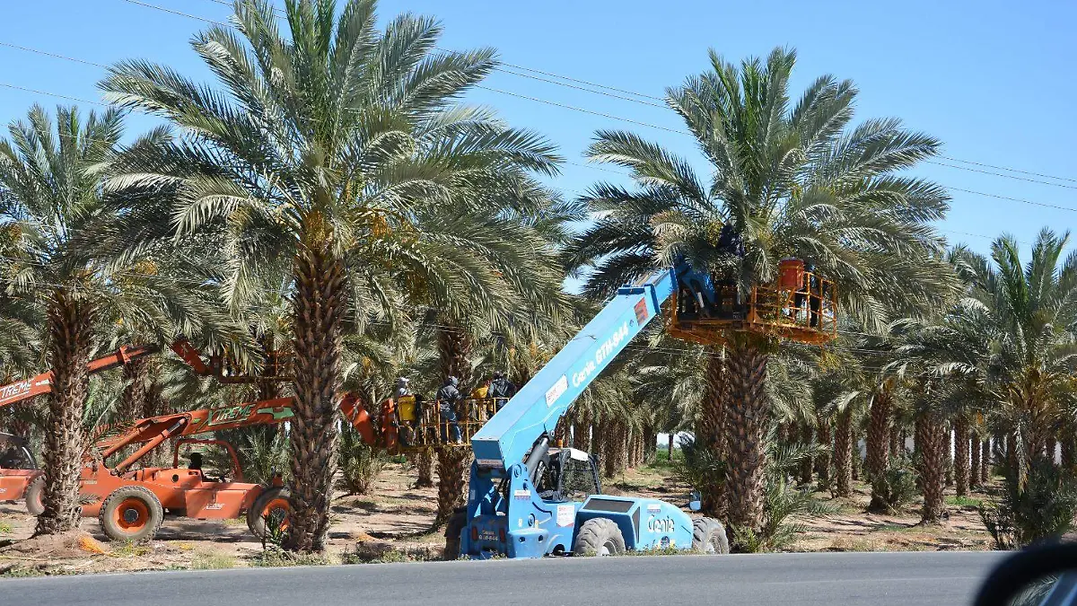 WhatsApp Image 2023-06-07 at 9.39.23 AM (1)