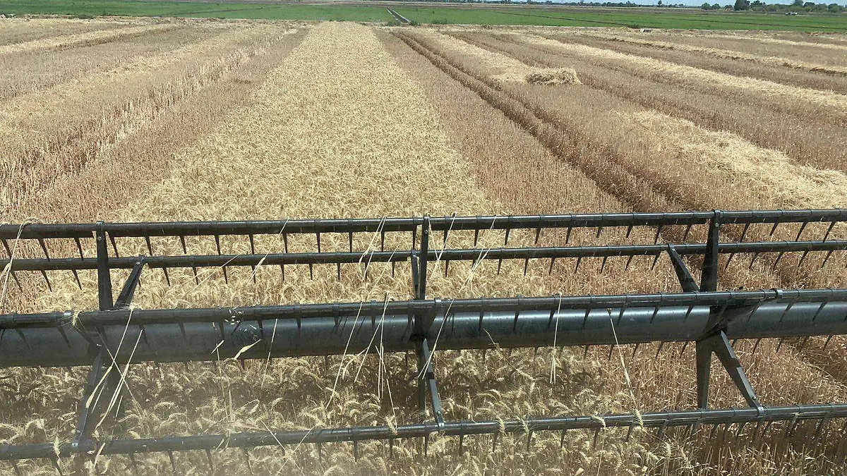 WhatsApp Image 2023-06-22 at 1.05.25 PM