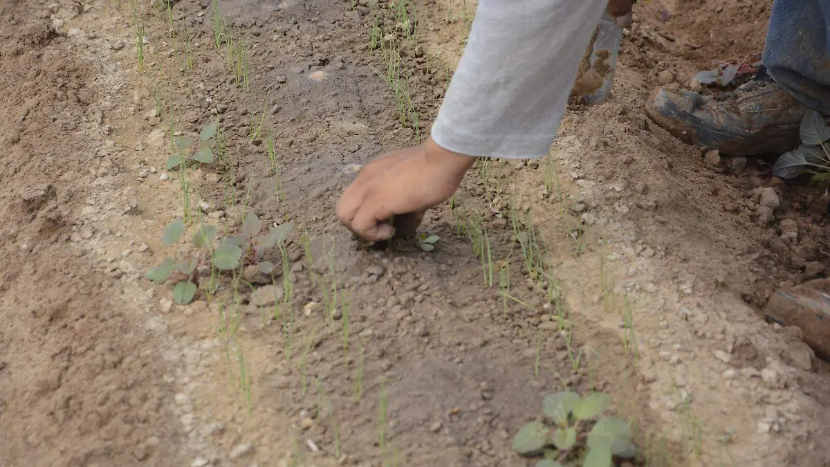 Calculan 30 mdp en cartera vencida para el valle