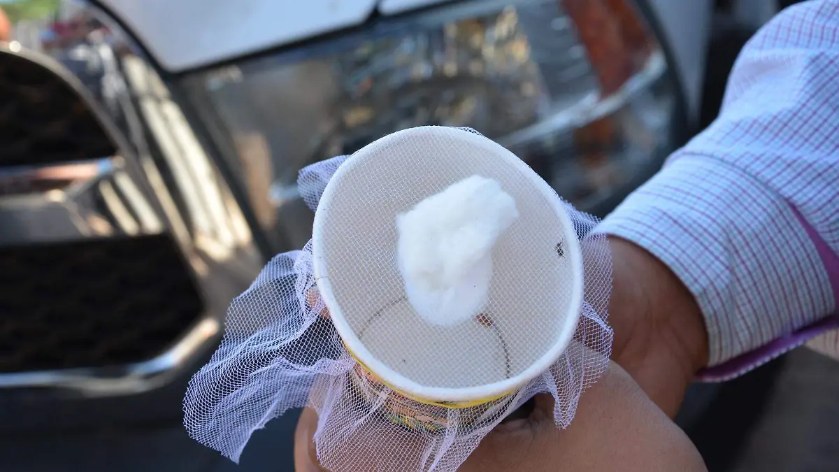 WhatsApp Image 2023-06-01 at 1.20.59 PM