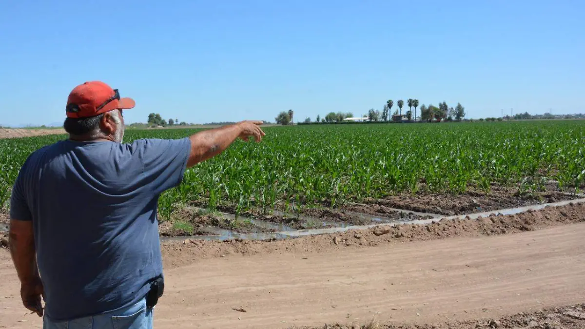 ee0d39ee-af72-48d2-aeb3-a5207b595449