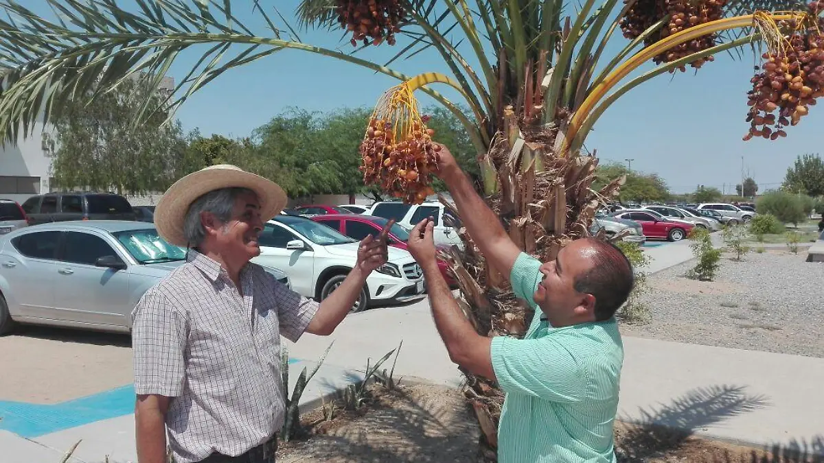 WhatsApp Image 2017-08-30 at 3.18