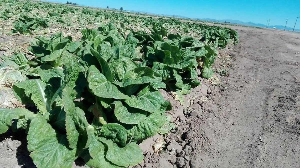 Image 2018-02-24 at 4.09