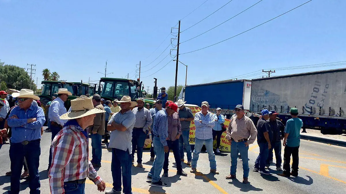 WhatsApp Image 2023-06-06 at 3.00.37 PM