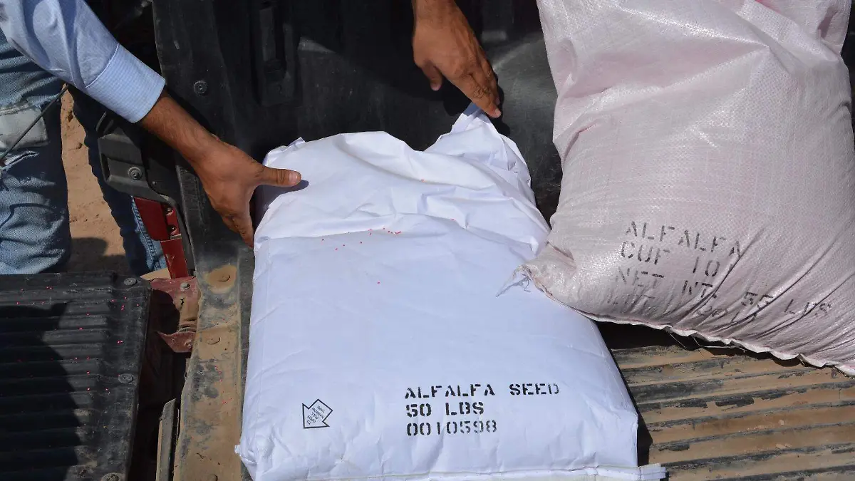 Sonora-en-espera-de-entrar-a-programa-de-fertilizantes-2