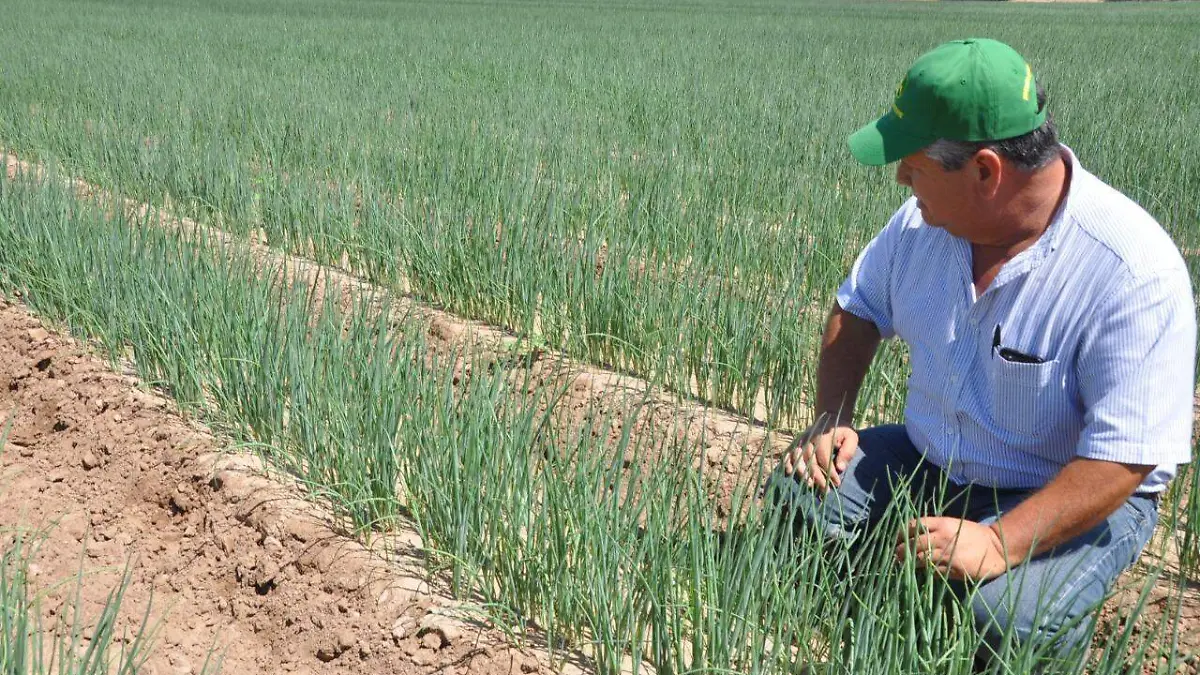 campo2