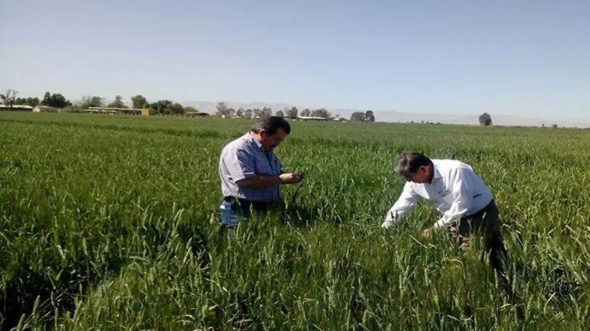 WhatsApp Image 2019-04-27 at 10.48