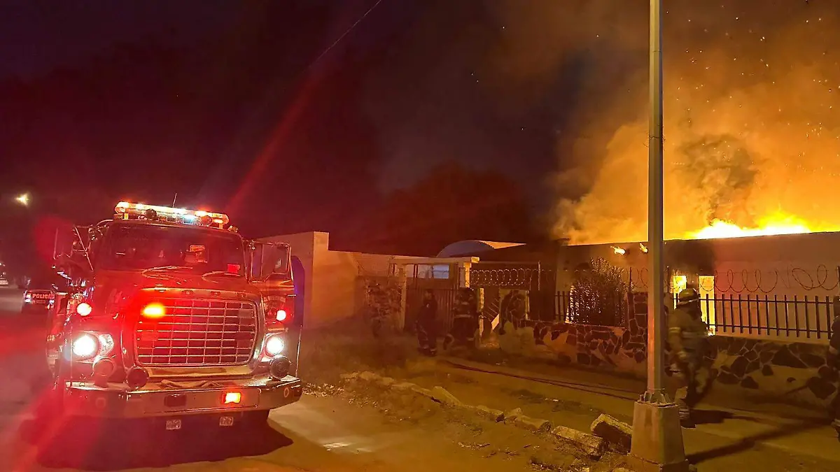 WhatsApp Image 2024-11-21 at 12.39.44 PM