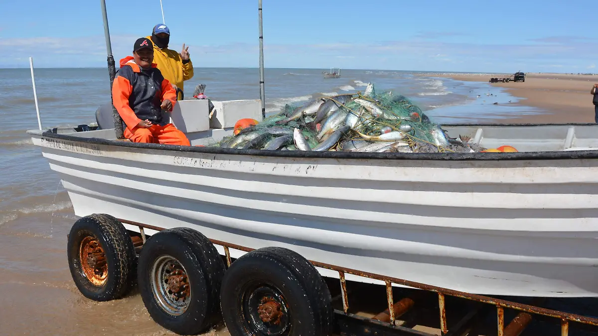 Lanzan programa de apoyo para pescadores de 7 mil 500 pesos por persona, esto es manejado por las oficinas de pesca junto con las cooperativas y permisionarios VF (1)
