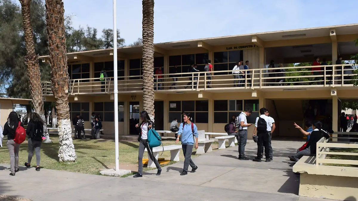 registro de bachilleres (1)