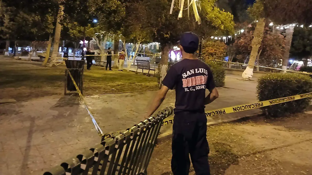 retiro de panal de abejas