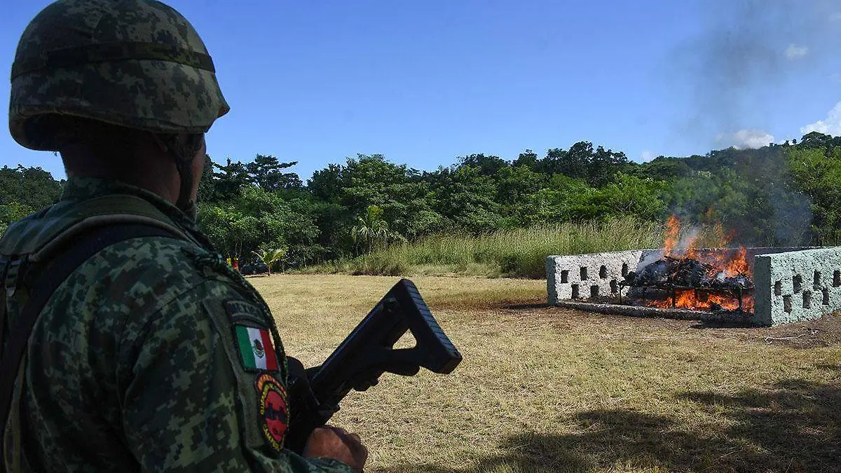 Fuerzas Armadas