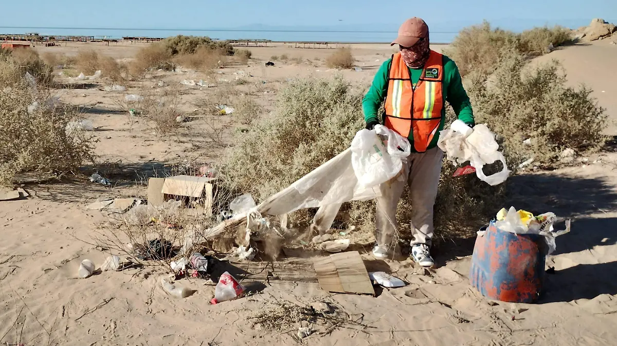 Integrantes de grupos ambientalistas del Golfo de Santa Clara se dieron a la tarea de limpiar las playas para mejorar la imagen de este lugar (3)
