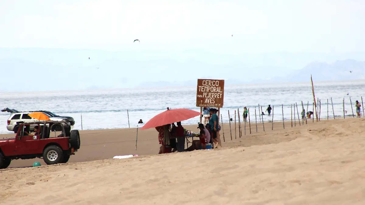 Integrantes del grupo cuidando al Playero rojizo y al pejerrey del poblado Golfo de Santa Clara, explican el motivo por el cual es importante la colocación del cerco temporal para proteger (1)
