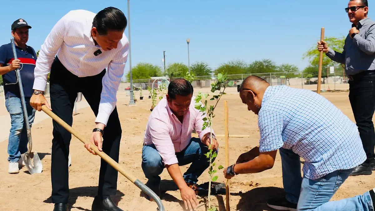 Reanuda Ayuntamiento programa de reforestación en parque Tamaulipas (4)