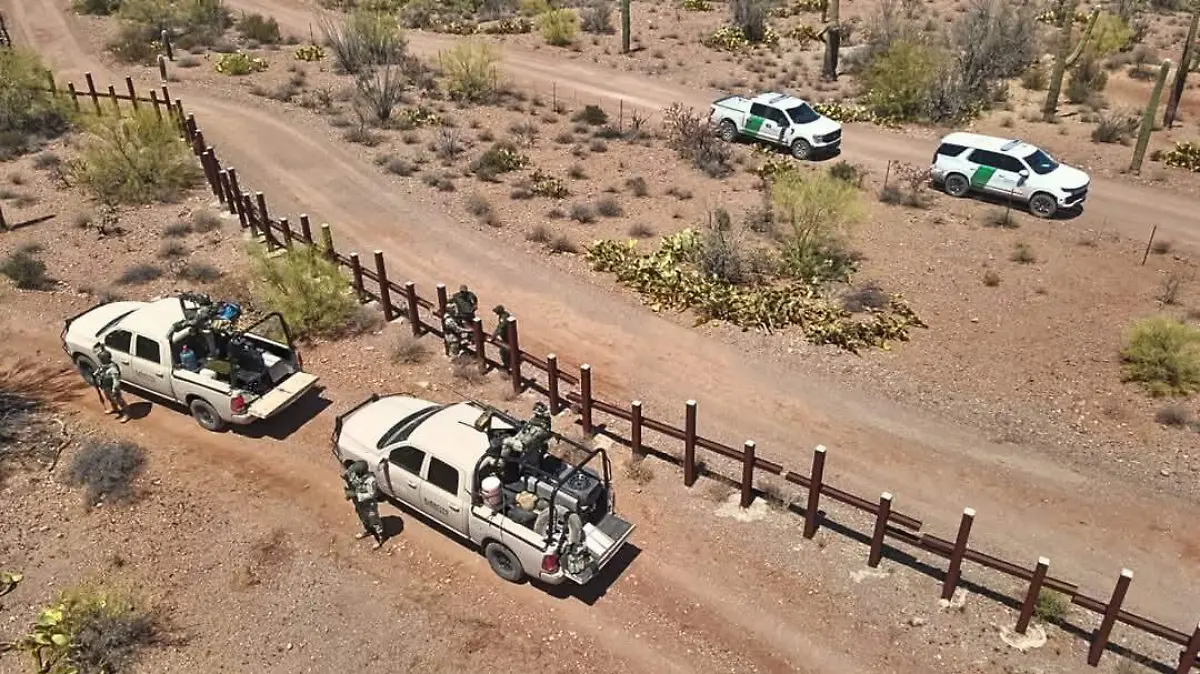 border patrol (3)