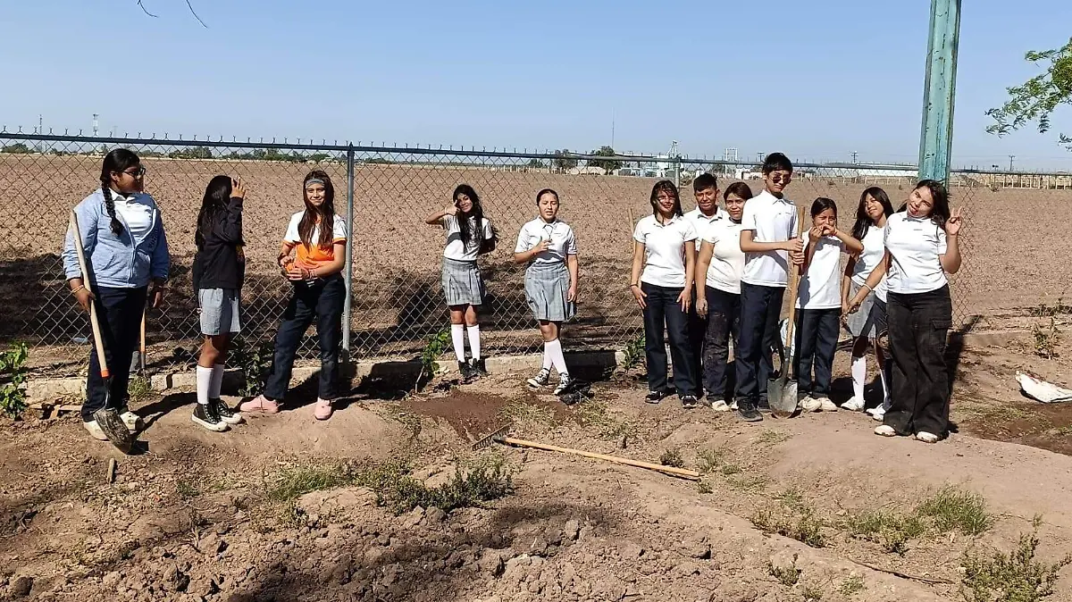 Reforestación en San Luis Río Colorado