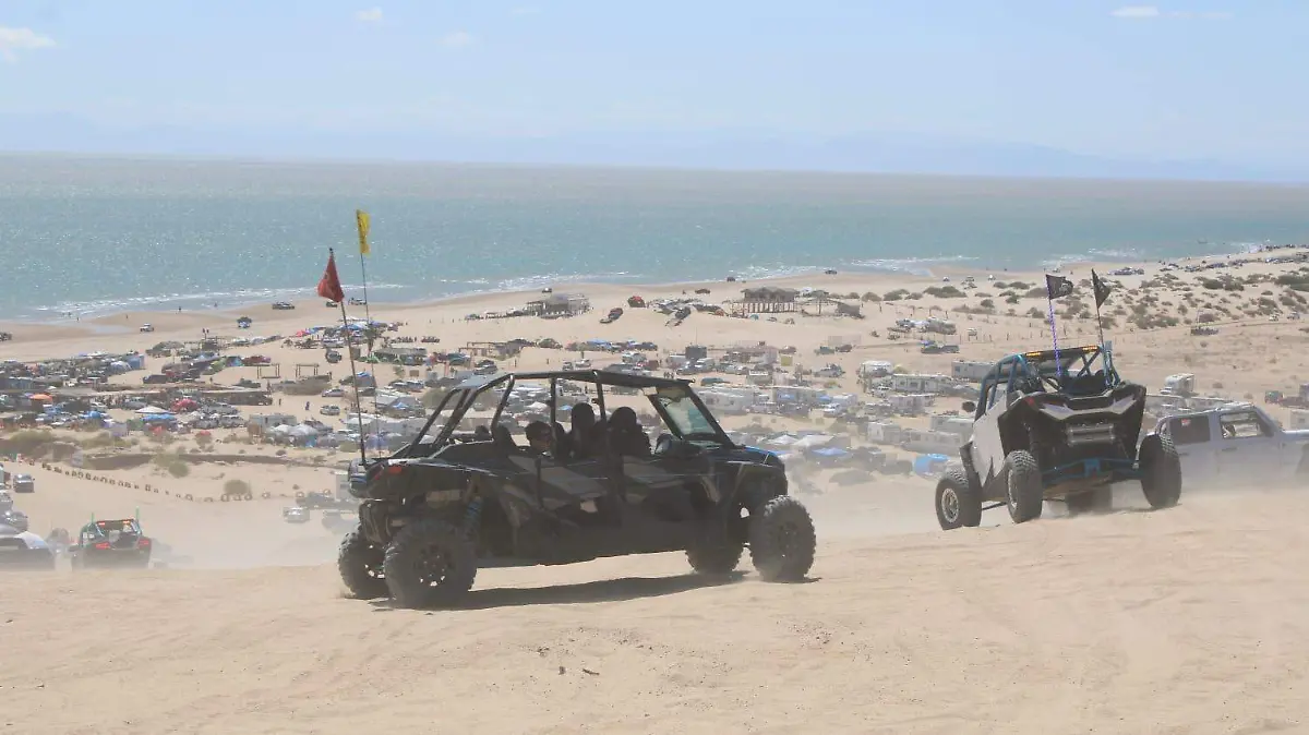 MACHORRRO GOLFO