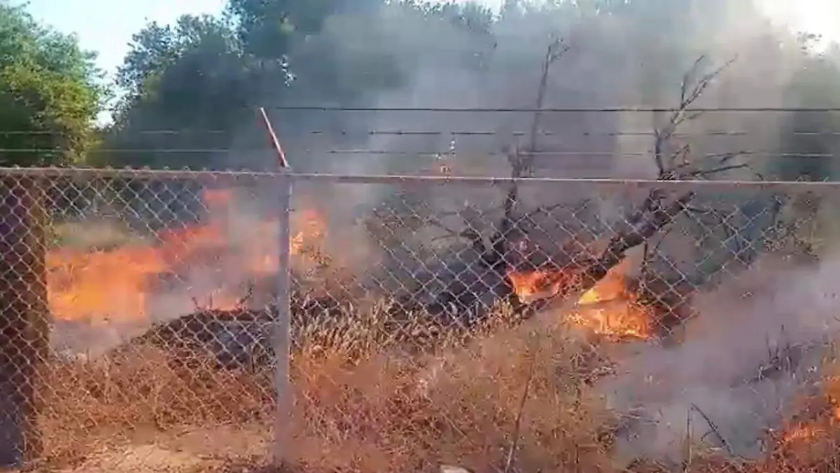 incendio de maleza ejido Independencia