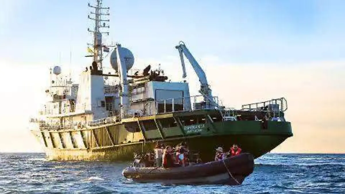 habrá un crucero de observación para la vaquita marina, (2)