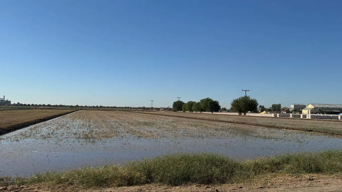 El Distrito de Riego tiene una disputa con la Conagua Vf (2)