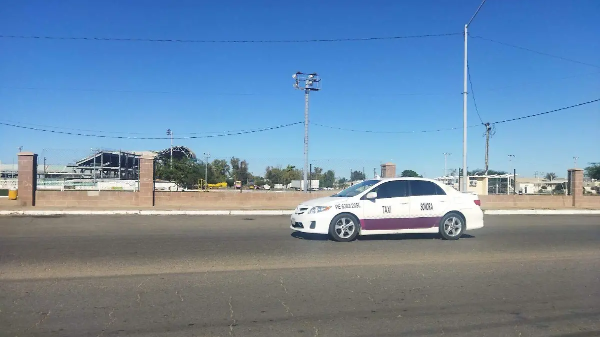 roban auto en el bosque de la ciudad