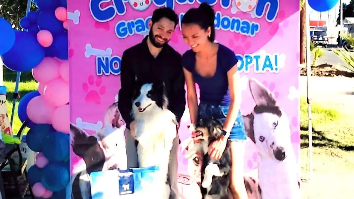 Realizan cocreton para mascotas (4)