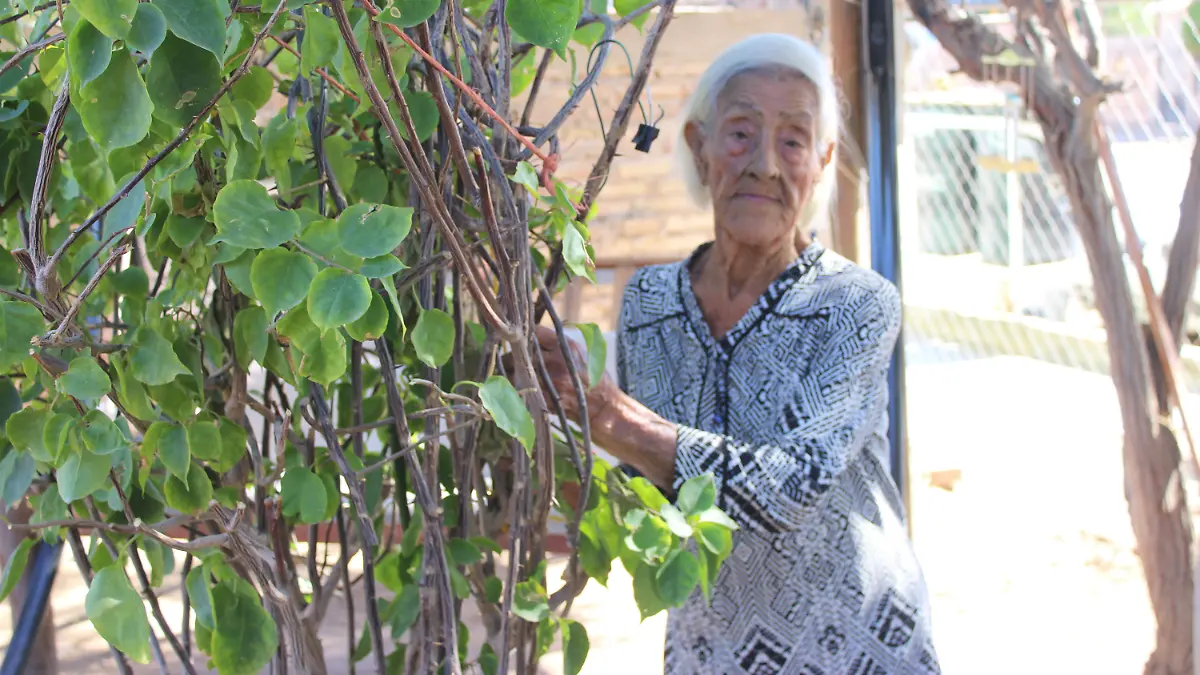 Francisca Oros cumple 100 años de edad (13)