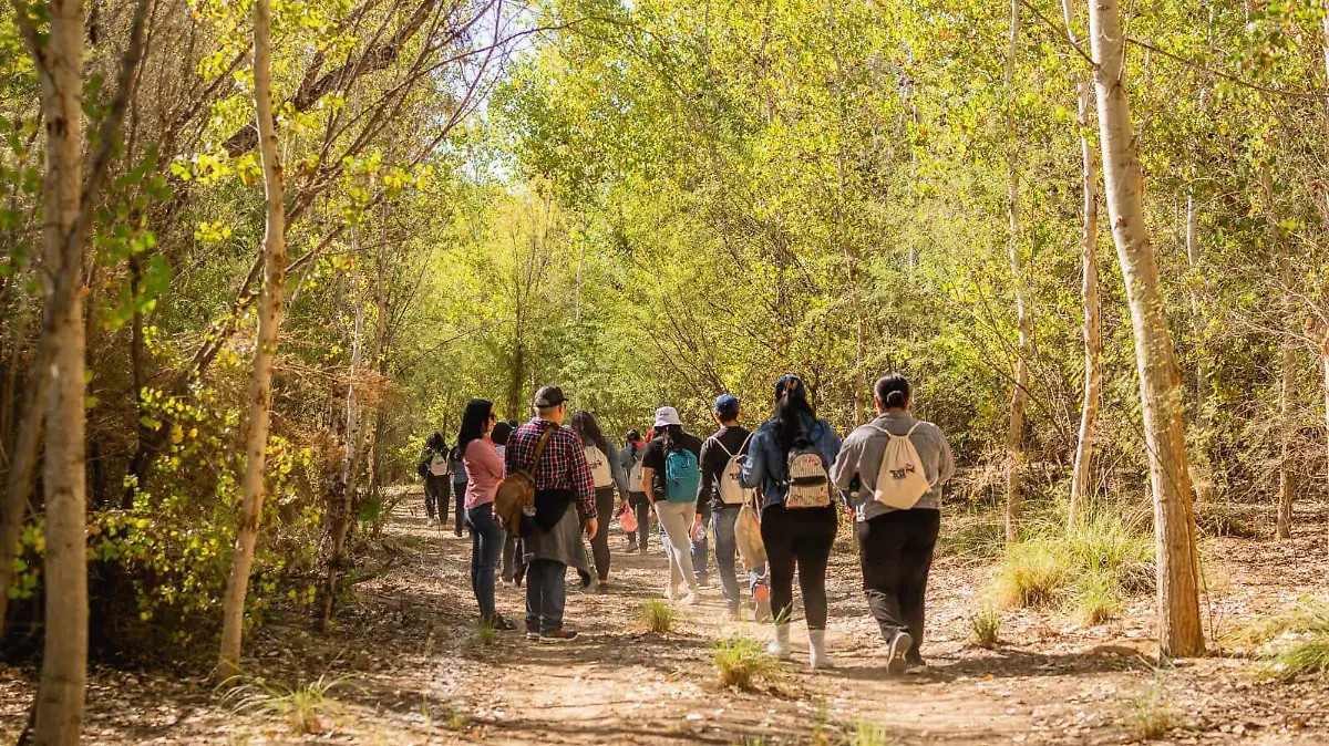 c26d14cc-daa0-48ad-9bfe-657a4a9cbc8d