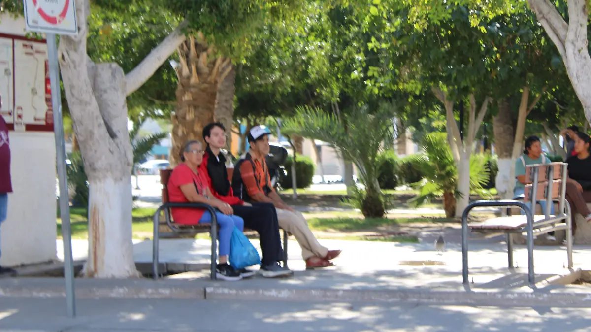 llegara frente frio (1)