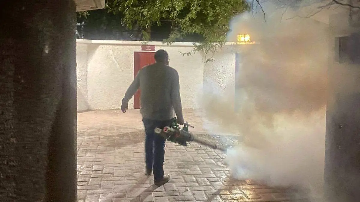 WhatsApp Image 2025-11-14 at 12.59.12 PM (1)