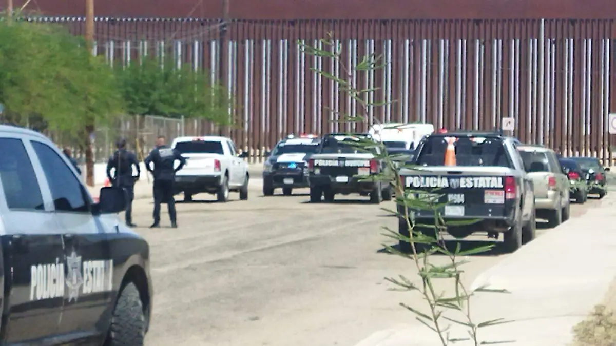 WhatsApp Image 2025-11-16 at 12.36.47 PM