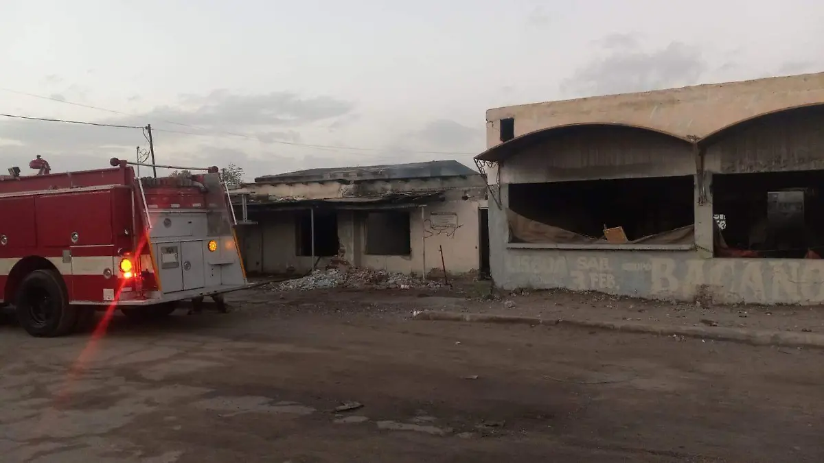 WhatsApp Image 2025-11-17 at 12.04.27 PM