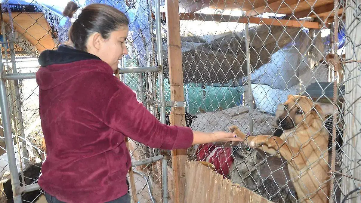 invitan a adoptaton (1)