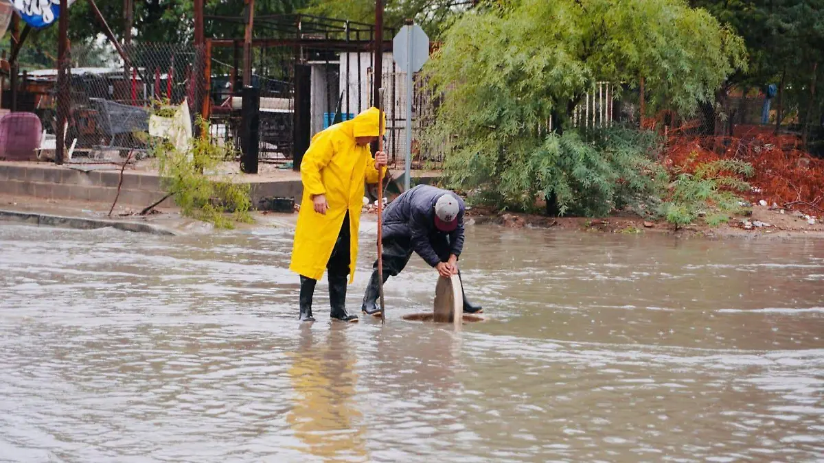 274cda72-650d-4b09-9e9f-05da03e4a0d7