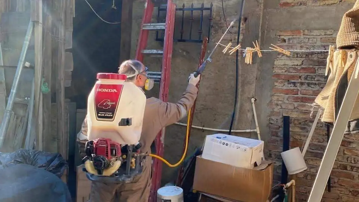 1817720f-6237-45c7-b0a4-57f61e2d17d3