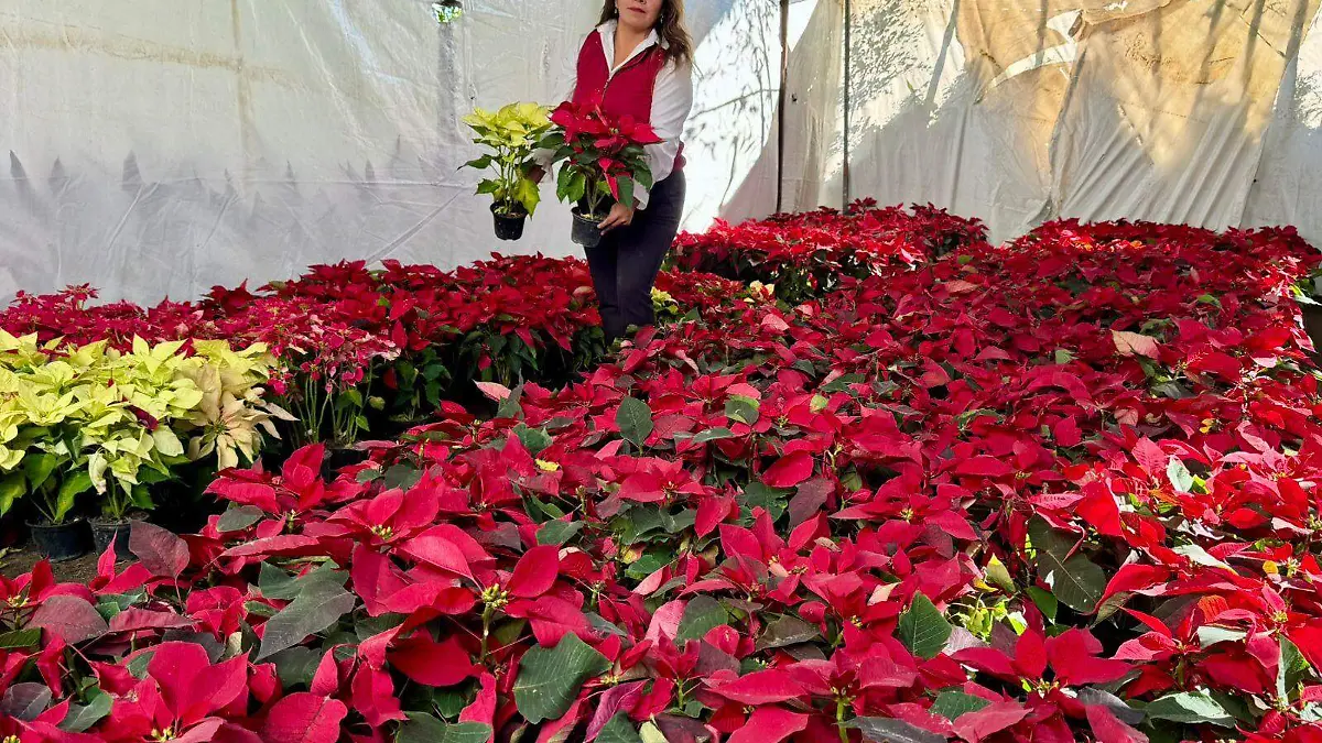 Julieta Rodríguez es experta en el cuidado de flores