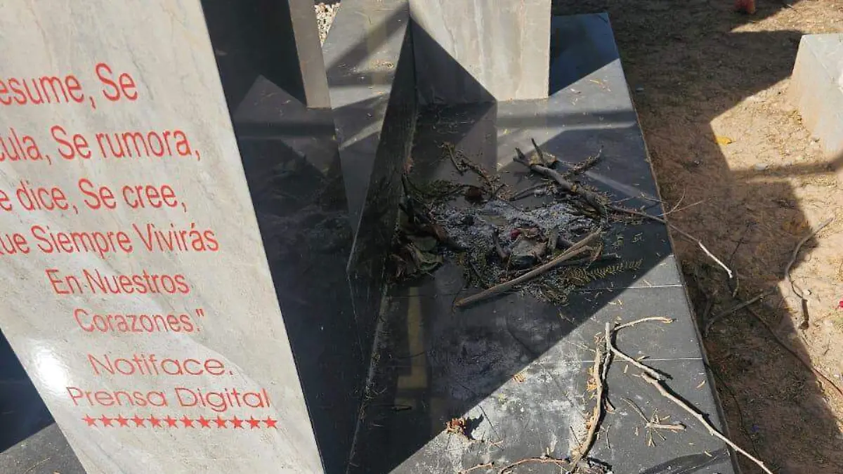 WhatsApp Image 2025-12-14 at 10.32.37