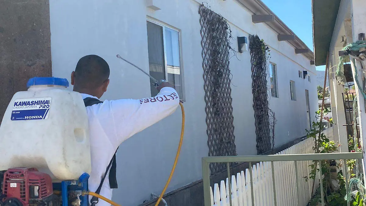 Yuma pide a la población que tenga cuidado con los mosquitos (1)