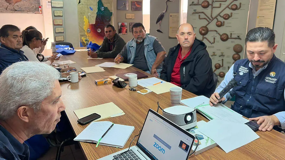 Consejo consultivo (3)