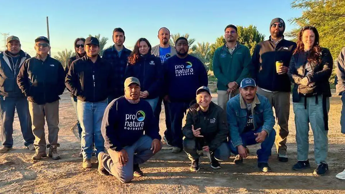  Pronatura Noroeste llevó a cabo el conteo navideño de aves (4)