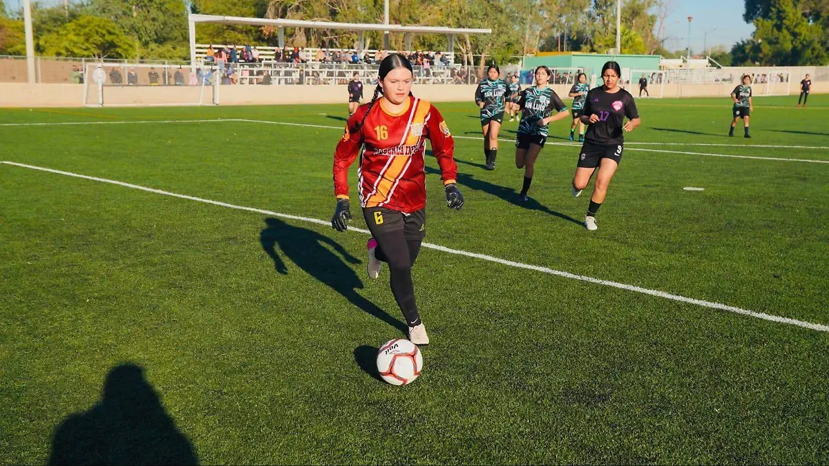 WhatsApp Image 2025-12-28 at 1.10.14 PM