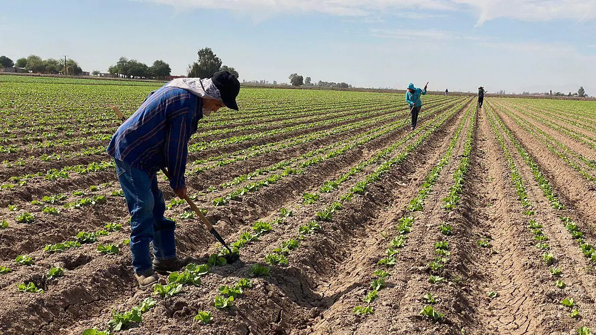 Avalan pescadores y agricultores VF (1)