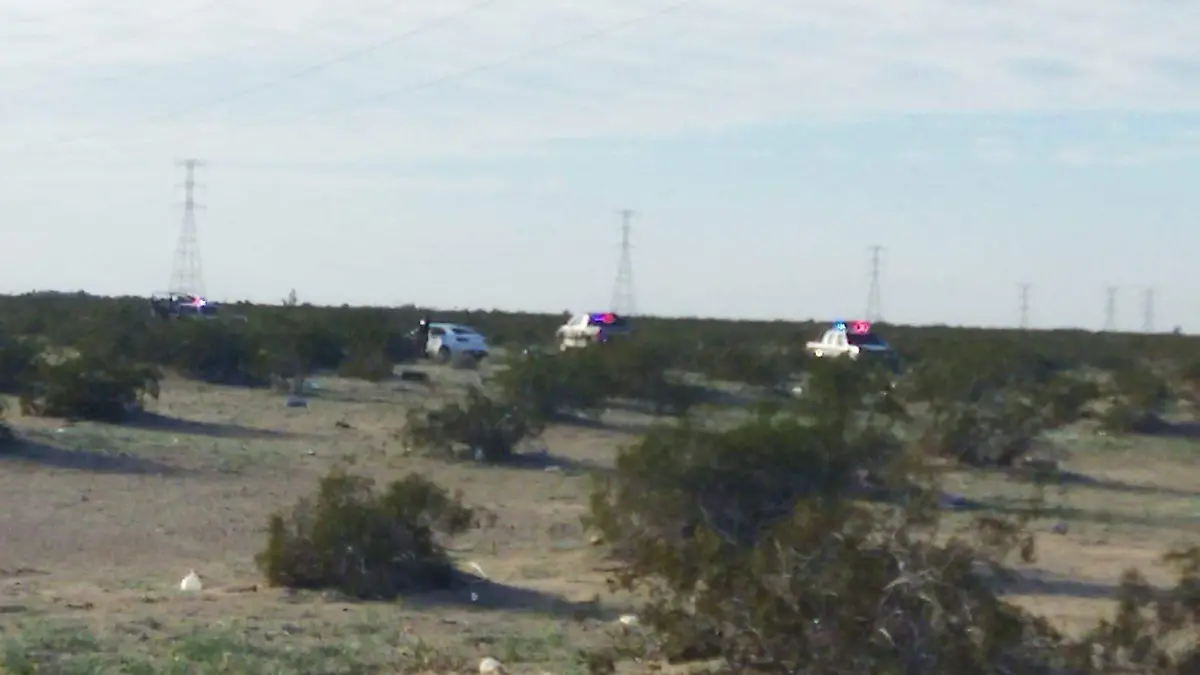 WhatsApp Image 2025-12-29 at 4.38.39 PM